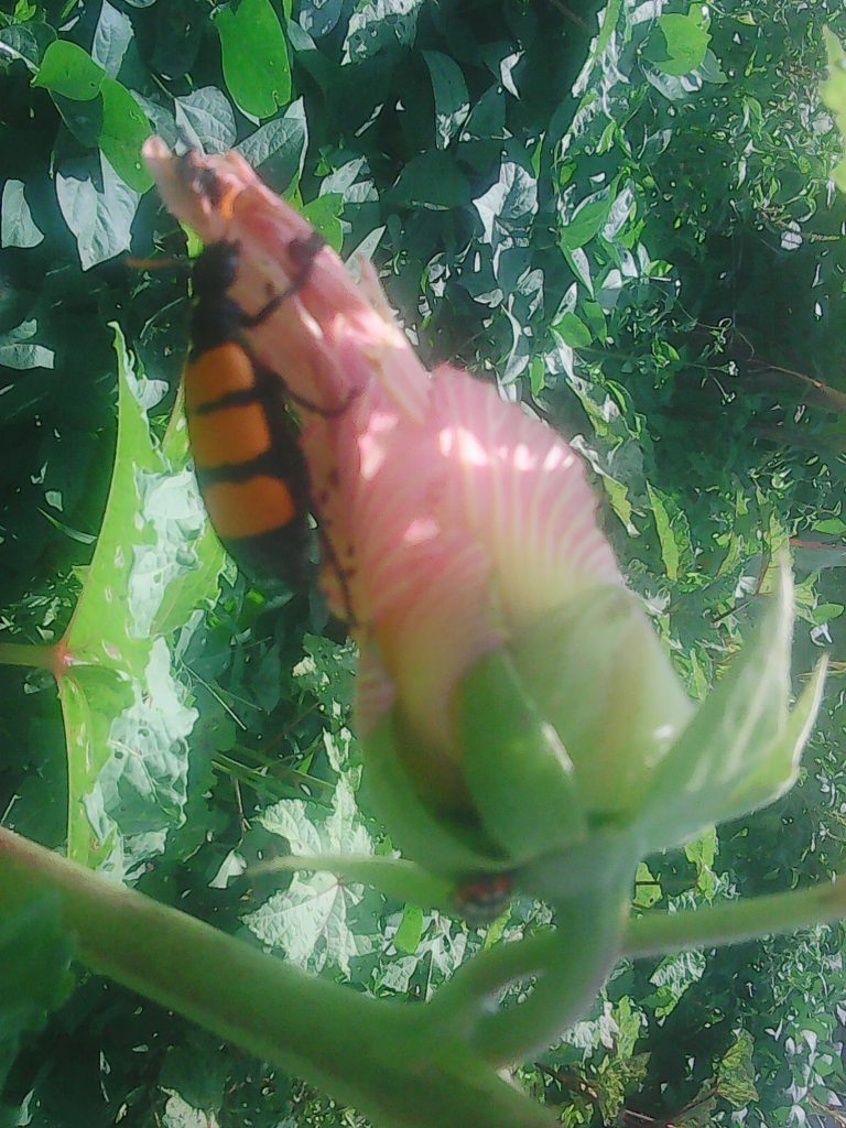 Photo0775
